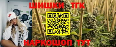 индика Новозыбков