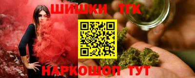 индика Новозыбков