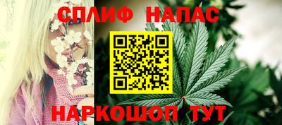 индика Новозыбков