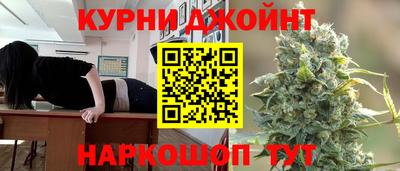 индика Новозыбков
