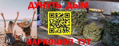 индика Новозыбков