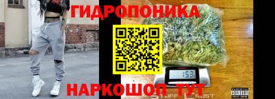 дживик Новодвинск